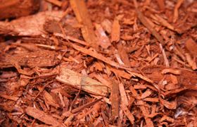 Chipped Wood