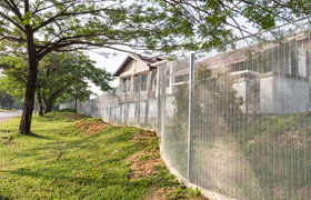Cleared Fence